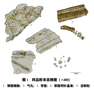 1578444395149787.png 222.png